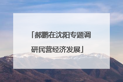 郝鹏在沈阳专题调研民营经济发展
