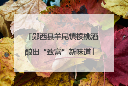 郧西县羊尾镇樱桃酒酿出“致富”新味道