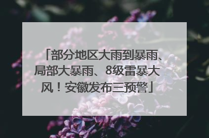 部分地区大雨到暴雨、局部大暴雨、8级雷暴大风！安徽发布三预警