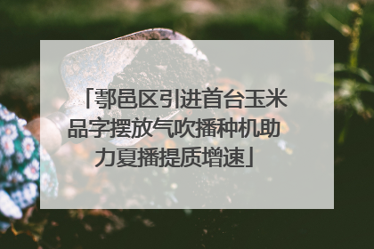 鄠邑区引进首台玉米品字摆放气吹播种机助力夏播提质增速
