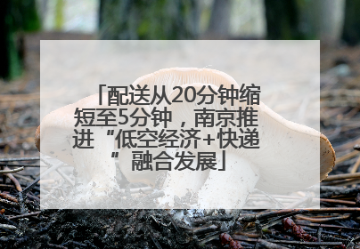 配送从20分钟缩短至5分钟，南京推进“低空经济+快递”融合发展