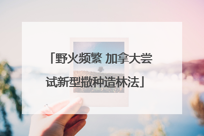 野火频繁 加拿大尝试新型撒种造林法