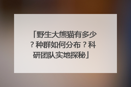 野生大熊猫有多少？种群如何分布？科研团队实地探秘