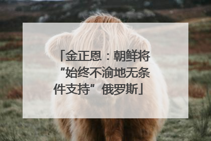 金正恩：朝鲜将“始终不渝地无条件支持”俄罗斯