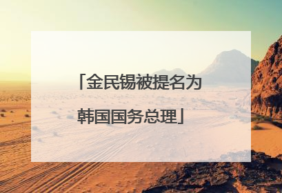 金民锡被提名为韩国国务总理