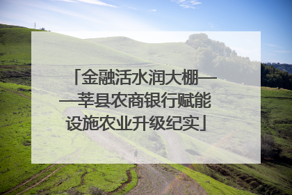 金融活水润大棚——莘县农商银行赋能设施农业升级纪实