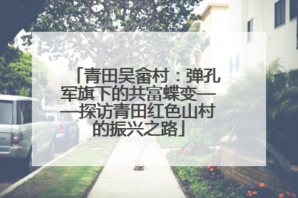 青田吴畲村：弹孔军旗下的共富蝶变——探访青田红色山村的振兴之路
