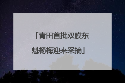 青田首批双膜东魁杨梅迎来采摘