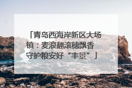 青岛西海岸新区大场镇：麦浪翻滚穗飘香 守护粮安好“丰景”