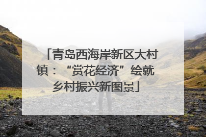 青岛西海岸新区大村镇：“赏花经济”绘就乡村振兴新图景