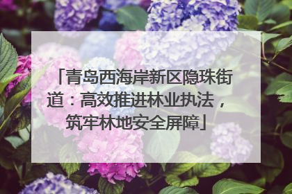 青岛西海岸新区隐珠街道：高效推进林业执法，筑牢林地安全屏障