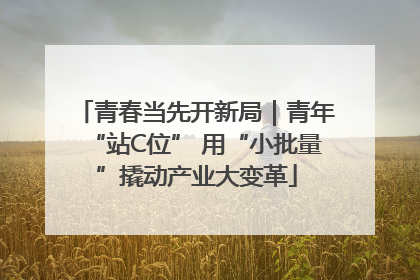 青春当先开新局｜青年“站C位” 用“小批量”撬动产业大变革