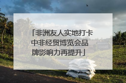 非洲友人实地打卡 中非经贸博览会品牌影响力再提升