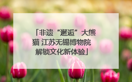 非遗“邂逅”大熊猫 江苏无锡博物院解锁文化新体验