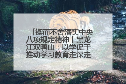 锲而不舍落实中央八项规定精神丨黑龙江双鸭山：以学促干推动学习教育走深走实 从小事入手写好“民生答卷”