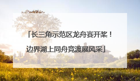 长三角示范区龙舟赛开桨！边界湖上同舟竞渡展风采