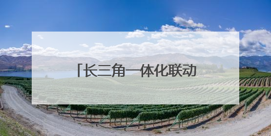 长三角一体化联动机制“合力成拳”