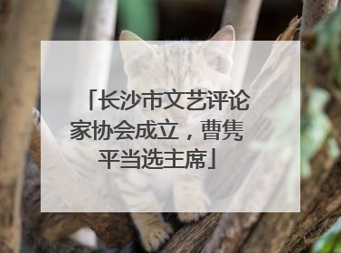 长沙市文艺评论家协会成立，曹隽平当选主席