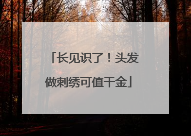 长见识了！头发做刺绣可值千金