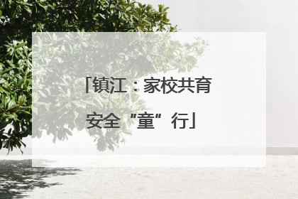 镇江：家校共育 安全“童”行