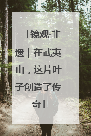 镜观·非遗｜在武夷山，这片叶子创造了传奇