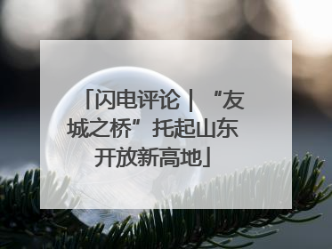 闪电评论｜“友城之桥”托起山东开放新高地
