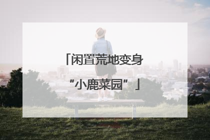 闲置荒地变身“小鹿菜园”