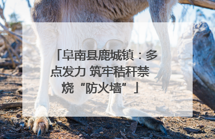 阜南县鹿城镇：多点发力 筑牢秸秆禁烧“防火墙”