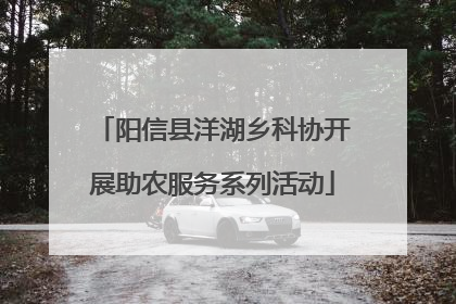 阳信县洋湖乡科协开展助农服务系列活动