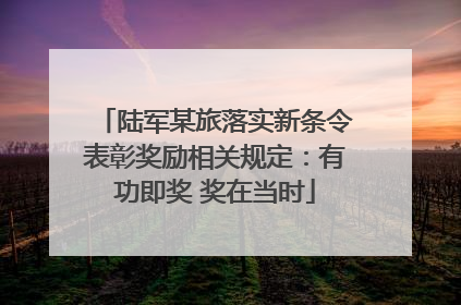 陆军某旅落实新条令表彰奖励相关规定：有功即奖 奖在当时