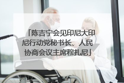 陈吉宁会见印尼大印尼行动党秘书长、人民协商会议主席穆扎尼