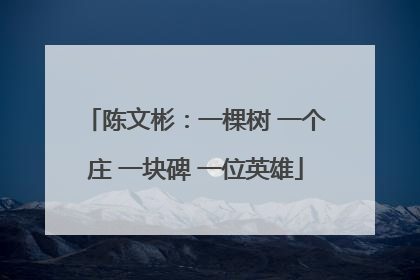 陈文彬：一棵树 一个庄 一块碑 一位英雄