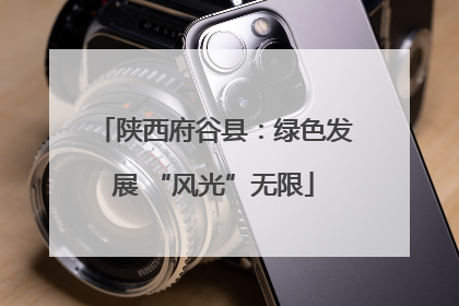 陕西府谷县：绿色发展 “风光”无限