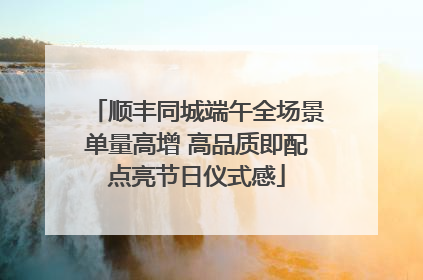 顺丰同城端午全场景单量高增 高品质即配点亮节日仪式感