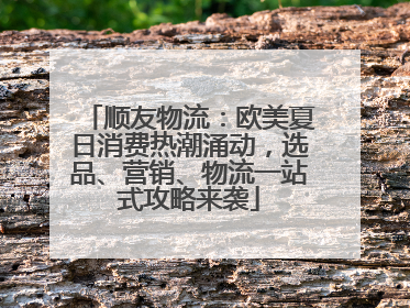 顺友物流：欧美夏日消费热潮涌动，选品、营销、物流一站式攻略来袭