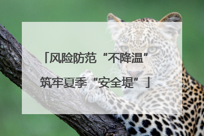 风险防范“不降温” 筑牢夏季“安全堤”