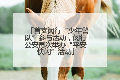 首支闵行“少年警队”参与活动，闵行公安再次举办“平安快闪”活动