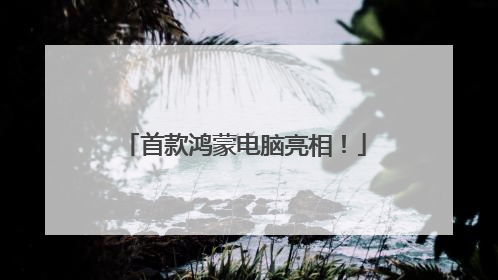 首款鸿蒙电脑亮相！