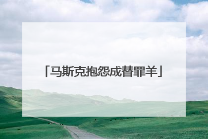 马斯克抱怨成替罪羊