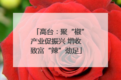 高台：聚“椒”产业促振兴 增收致富“辣”劲足