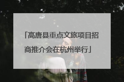 高唐县重点文旅项目招商推介会在杭州举行