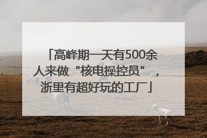 高峰期一天有500余人来做“核电操控员”，浙里有超好玩的工厂