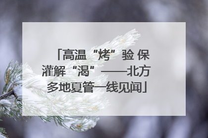 高温“烤”验 保灌解“渴”——北方多地夏管一线见闻