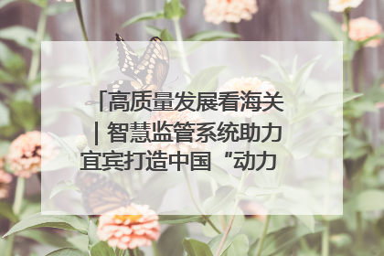 高质量发展看海关｜智慧监管系统助力宜宾打造中国“动力电池之都”