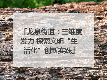 龙泉街道：三维度发力 探索文明“生活化”创新实践