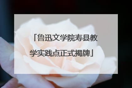 鲁迅文学院寿县教学实践点正式揭牌