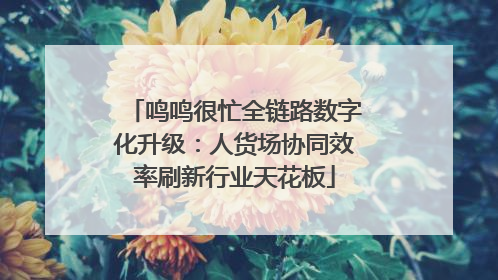 鸣鸣很忙全链路数字化升级：人货场协同效率刷新行业天花板