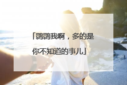鹮鹮我啊，多的是你不知道的事儿