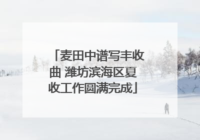 麦田中谱写丰收曲 潍坊滨海区夏收工作圆满完成