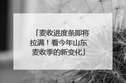 麦收进度条即将拉满！看今年山东麦收季的新变化